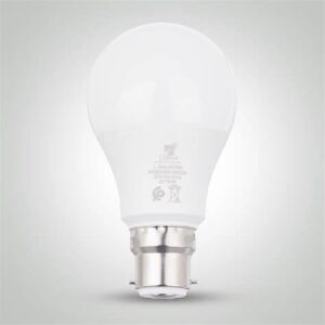 L-GAMMA LAMPE LED SMD OPAQUE B22  15W 6500K